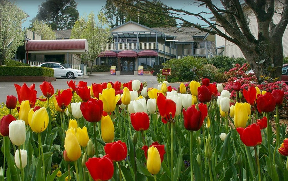 Nesuto Leura Gardens Hotel Екстериор снимка