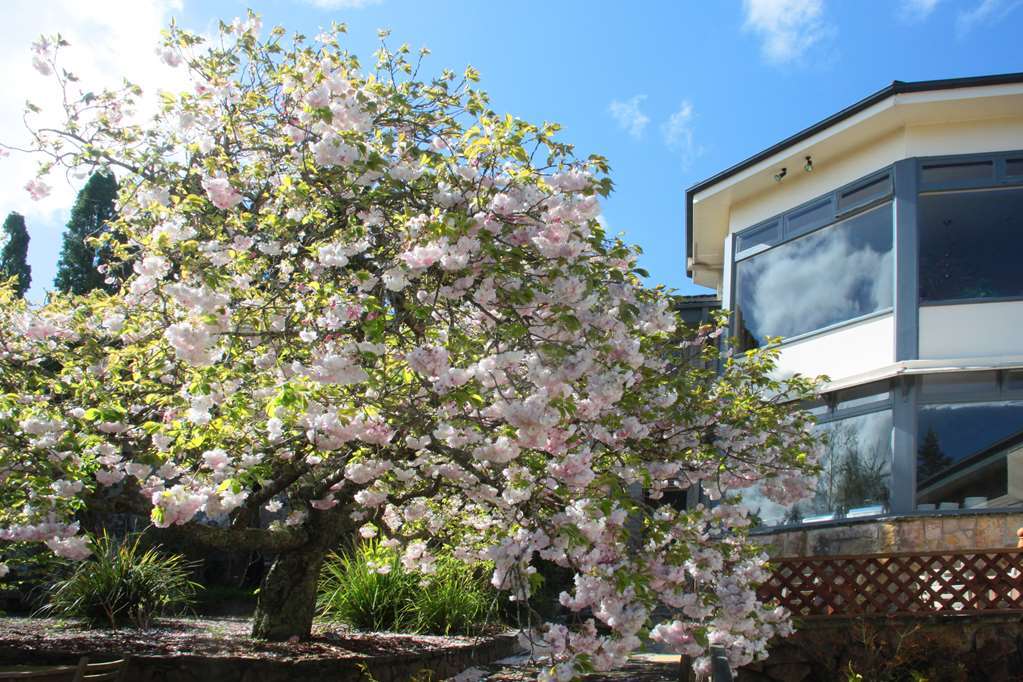 Nesuto Leura Gardens Hotel Екстериор снимка