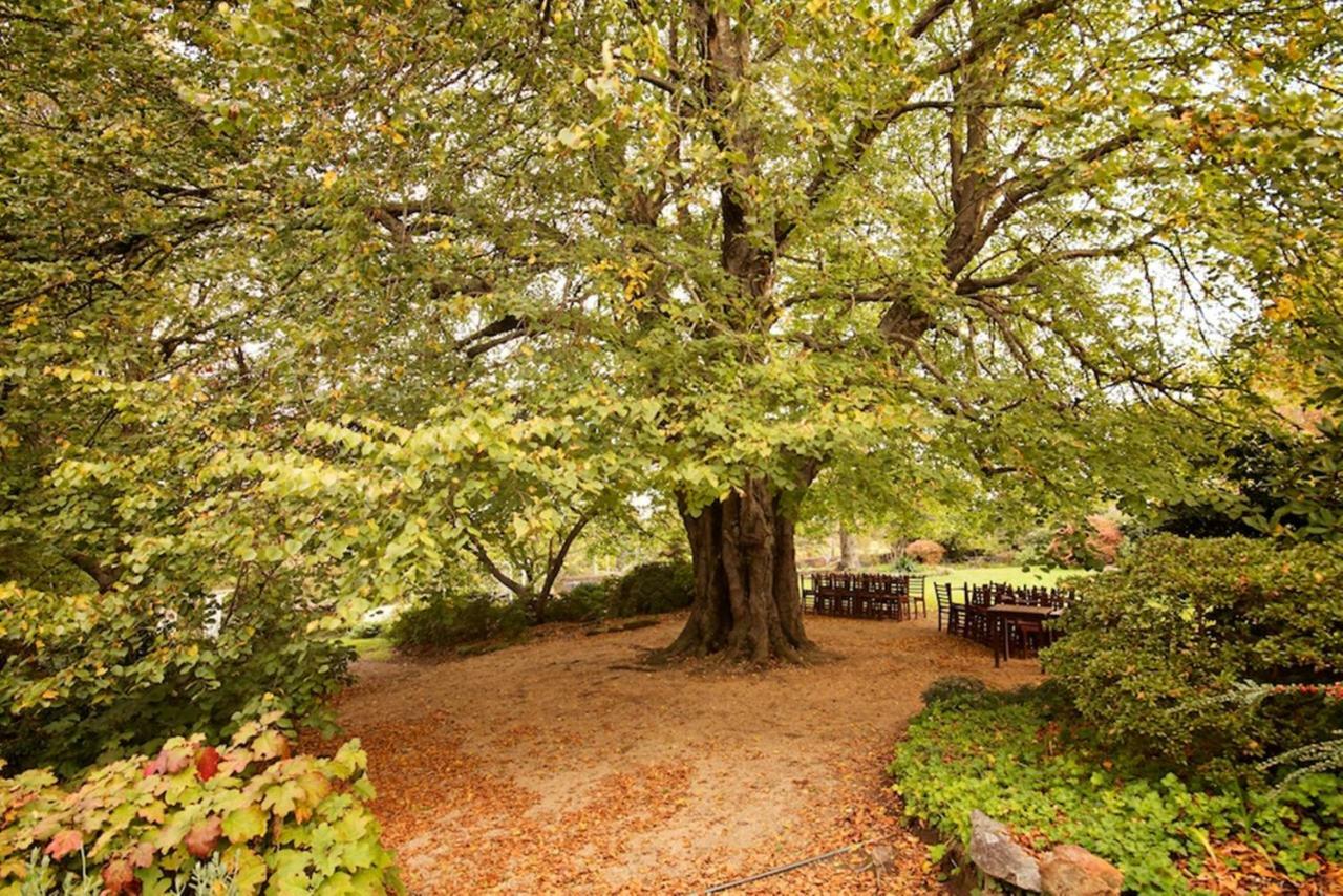 Nesuto Leura Gardens Hotel Екстериор снимка