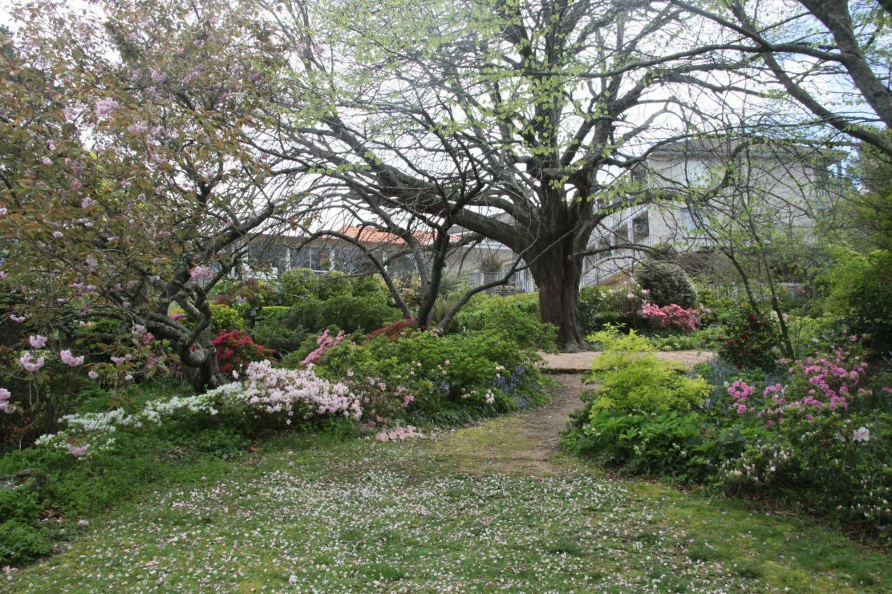 Nesuto Leura Gardens Hotel Екстериор снимка