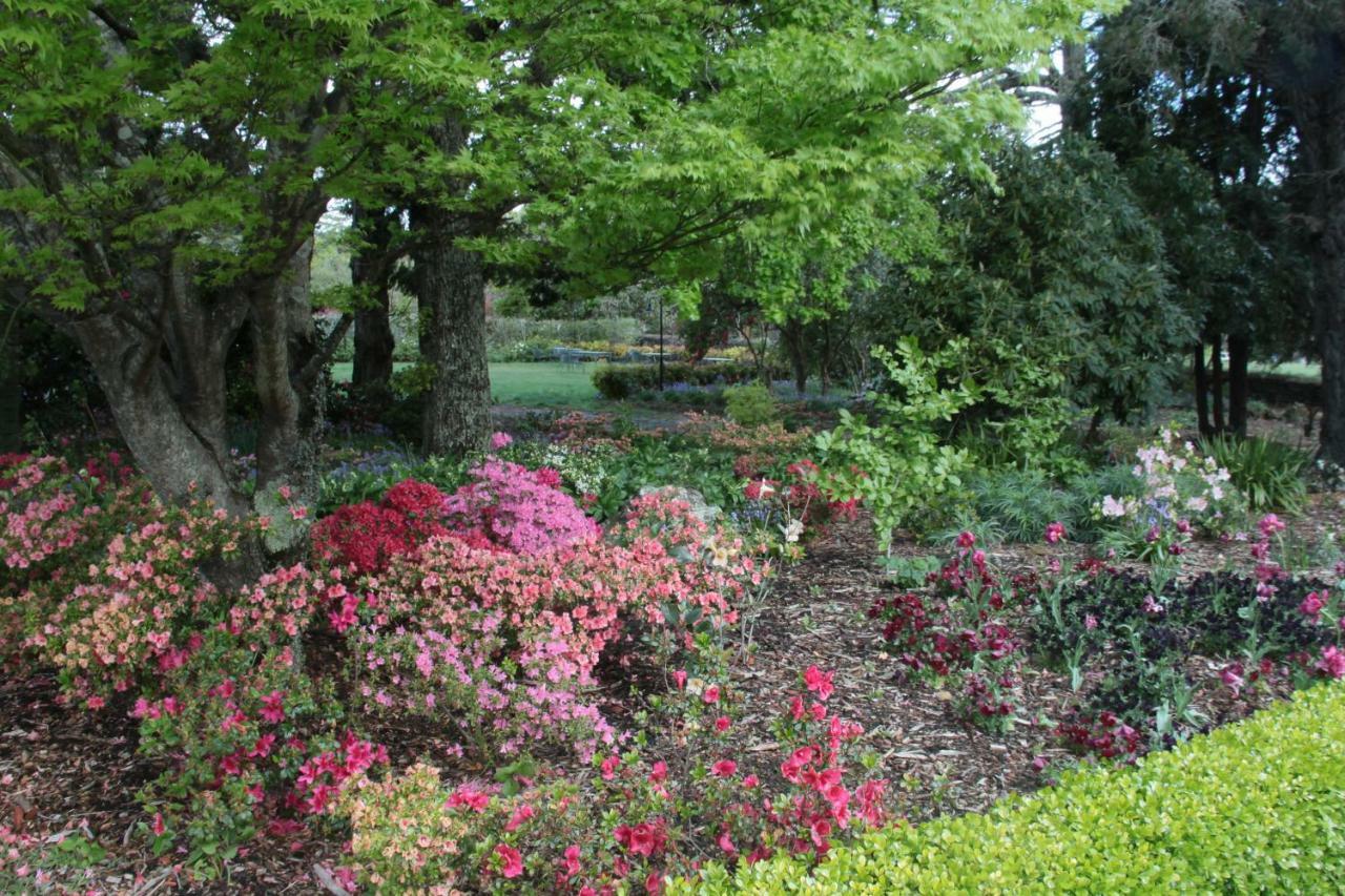 Nesuto Leura Gardens Hotel Екстериор снимка
