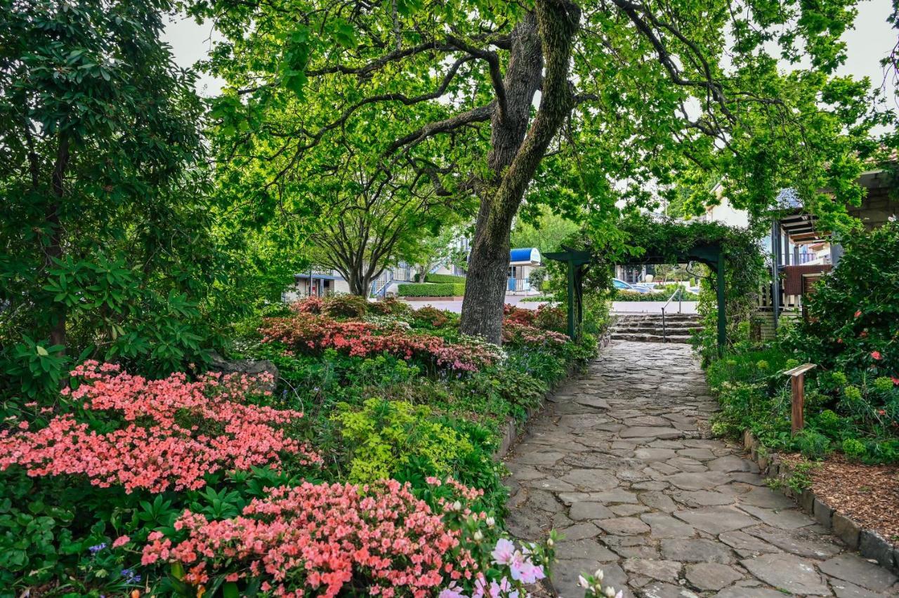Nesuto Leura Gardens Hotel Екстериор снимка